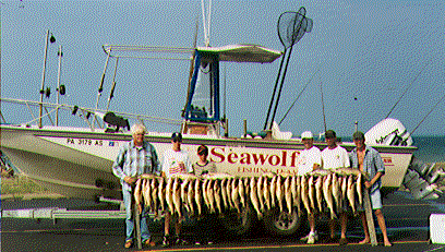 Altimate Outdoors walleye catch aboard the SEAWOLF
